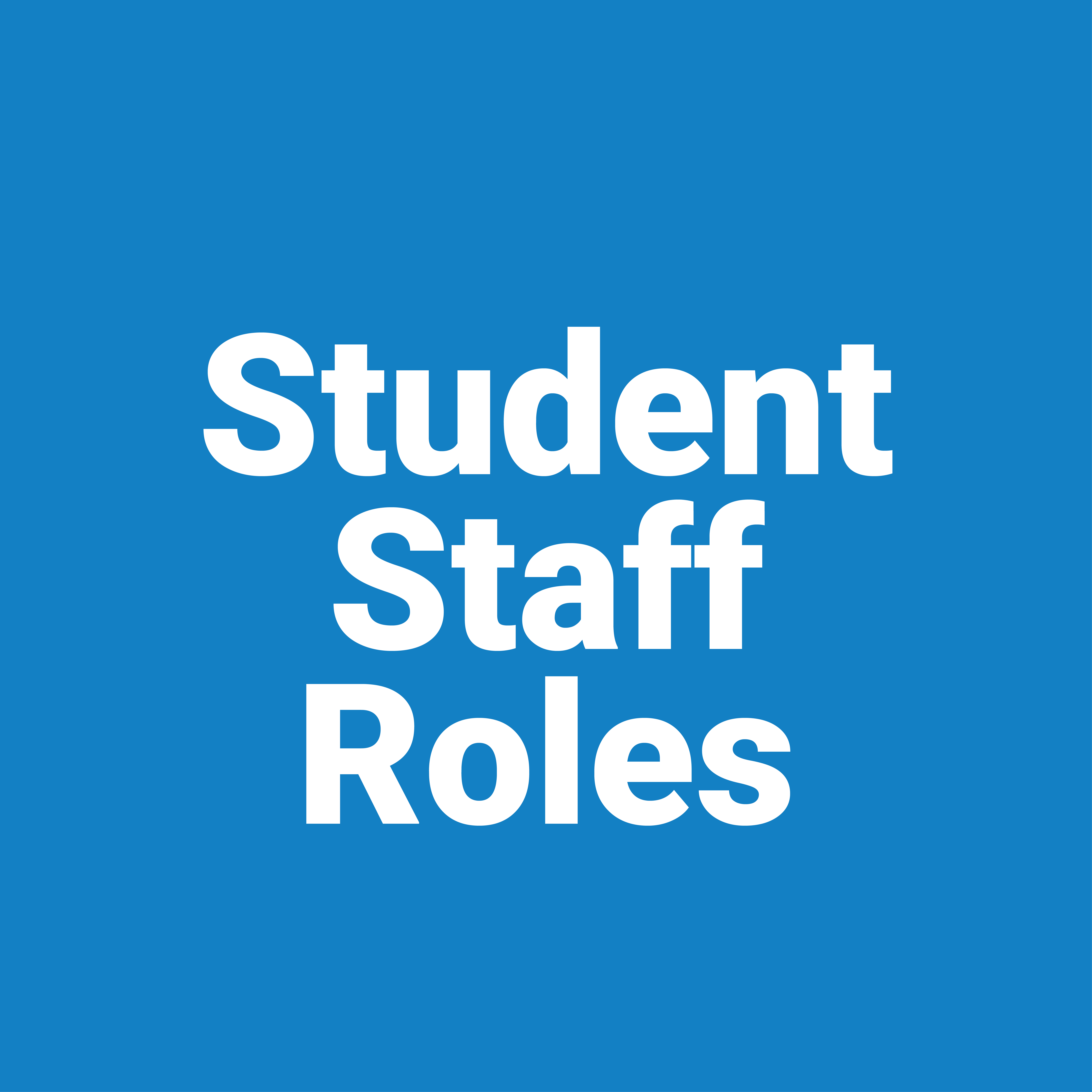 There is a wide variety of jobs that you can do at Arts SU as a student!